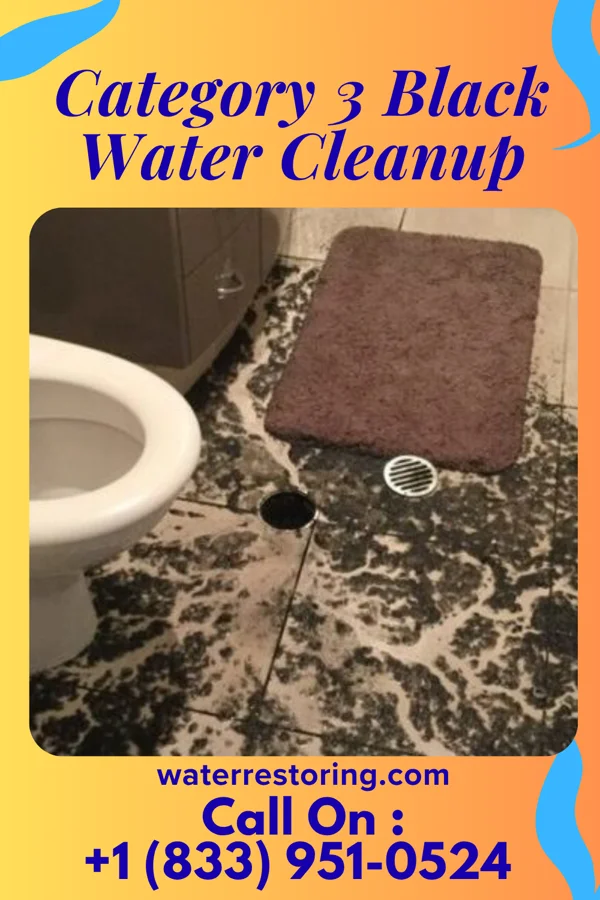 Category 3 Black Water Cleanup in North Eagle Butte, SD