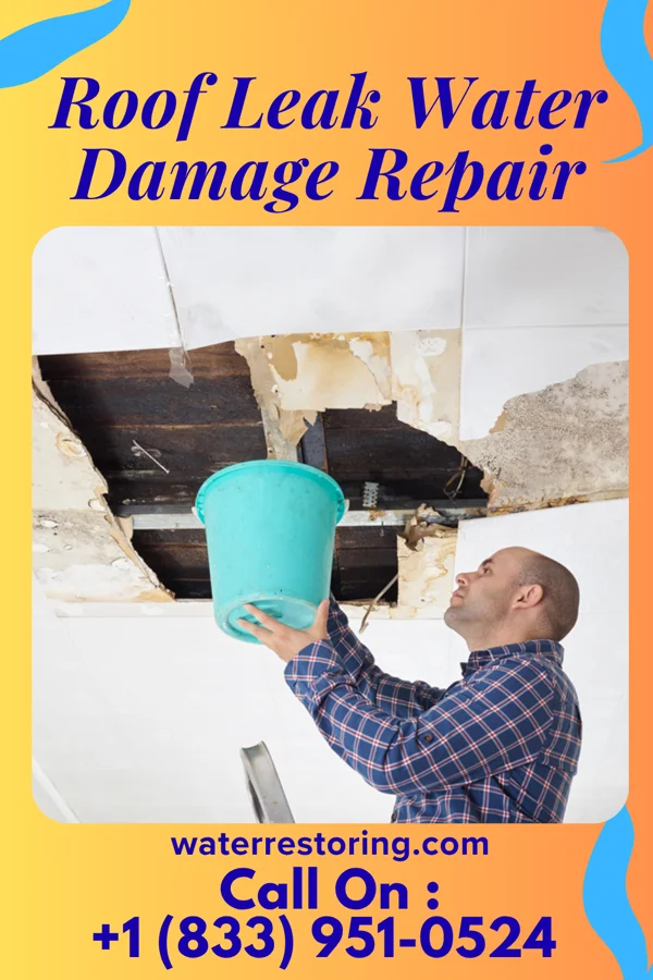 Roof Leak Water Damage Repair in North Eagle Butte, SD