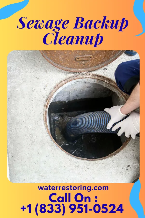 Sewage Backup Cleanup in North Eagle Butte, SD